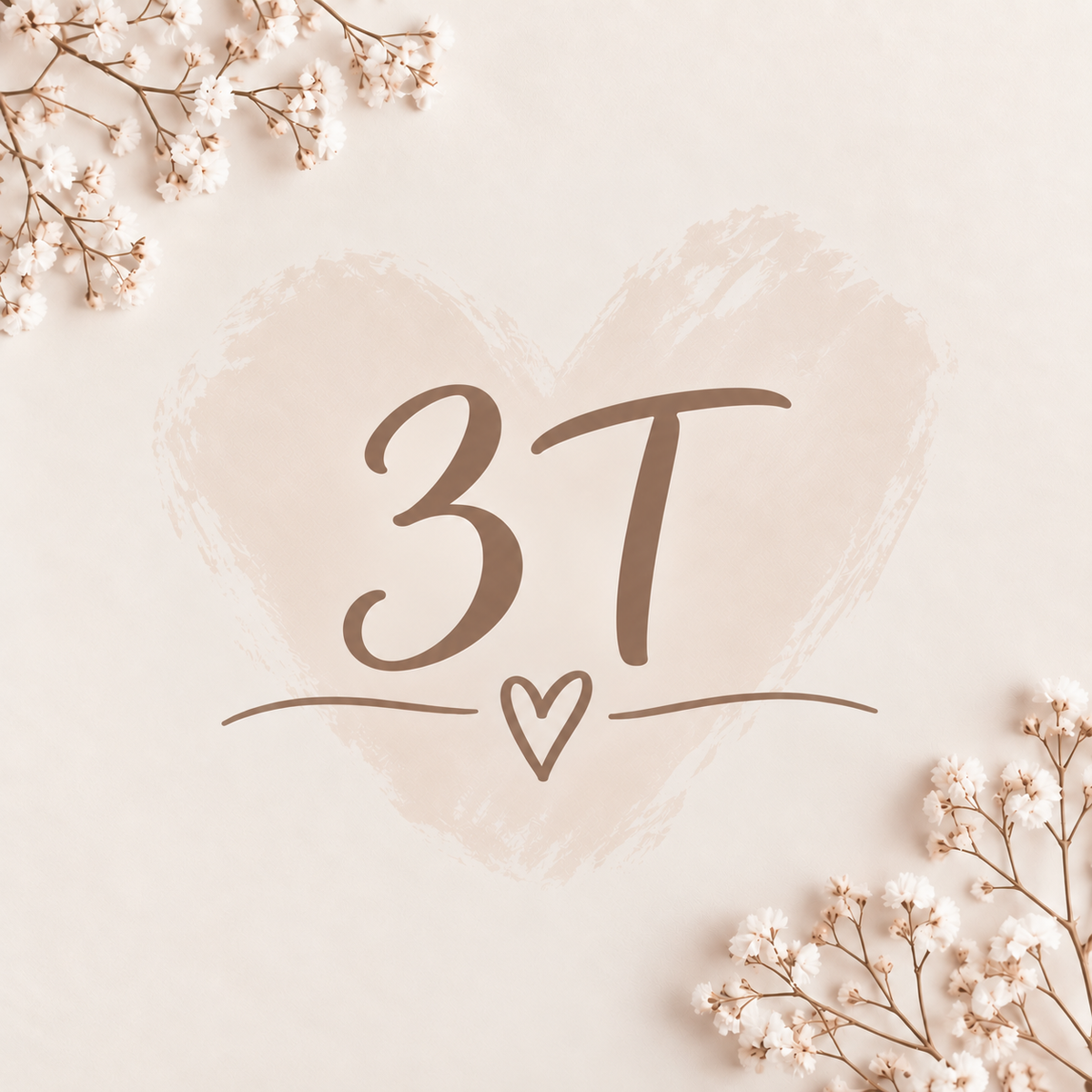 3T