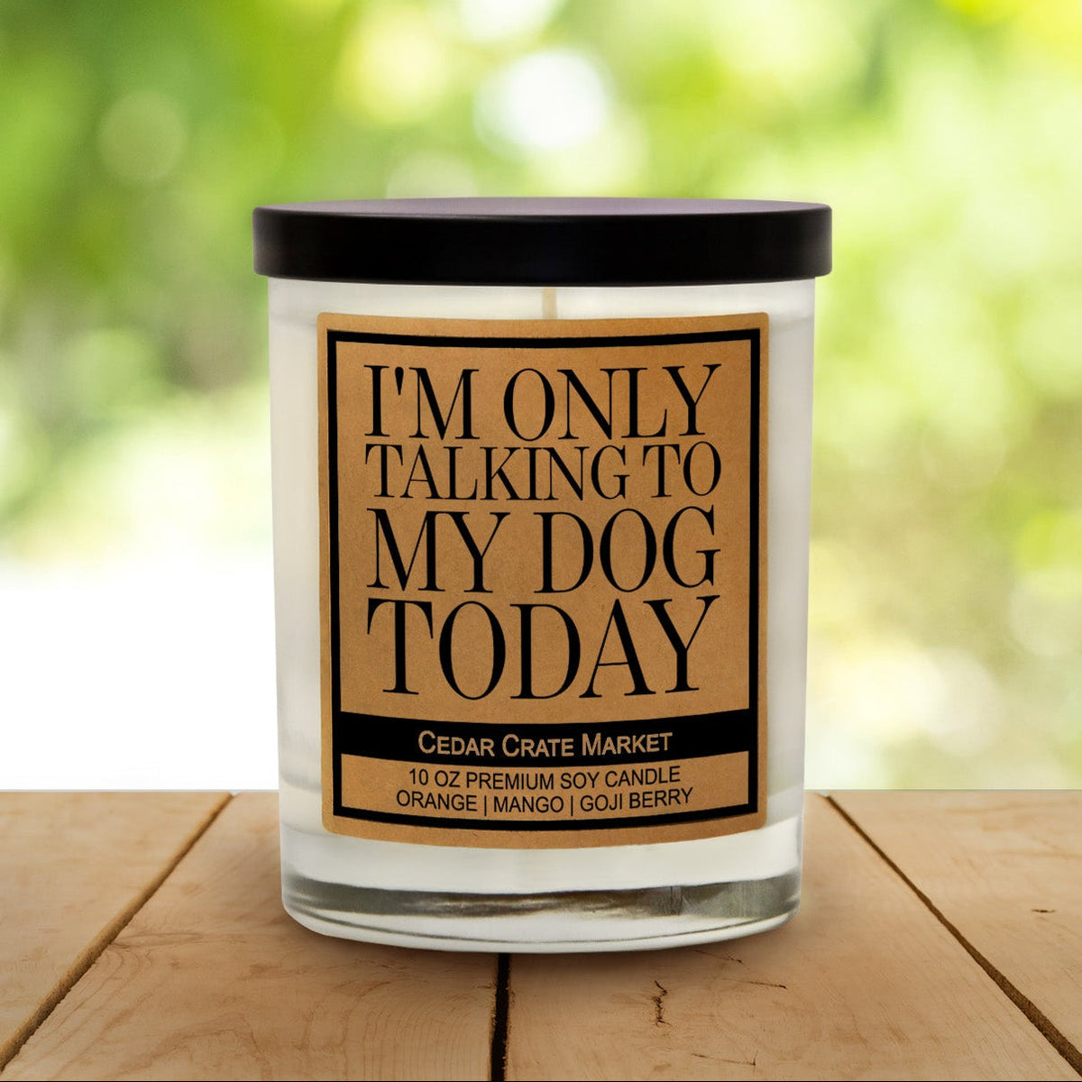 I'm Only Talking to My Dog Today Funny Soy Candle Gift